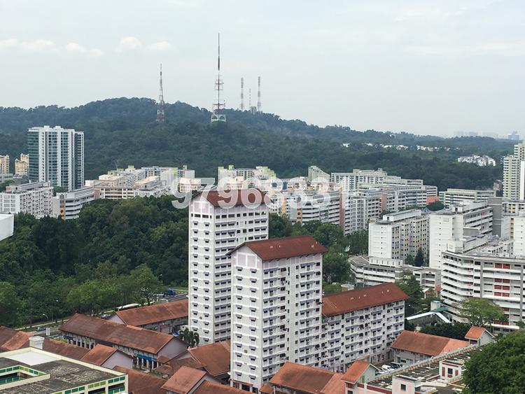 The Jade (D23), Condominium #151351552
